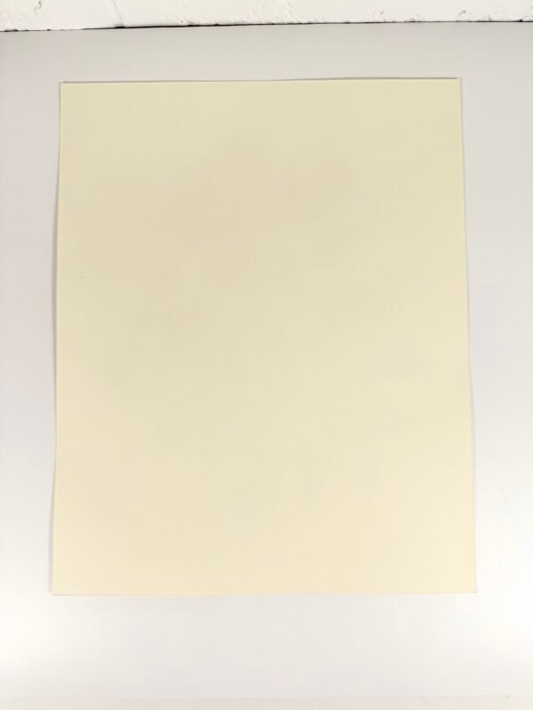 PLANCHE ROSES REDOUTÉ