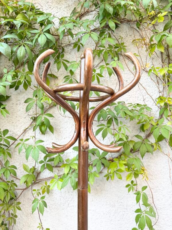 PORTE MANTEAU PERROQUET BOIS FONCÉ
