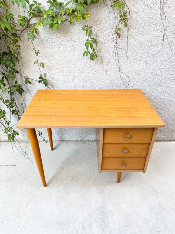 IMG_3959 BUREAU 70'
