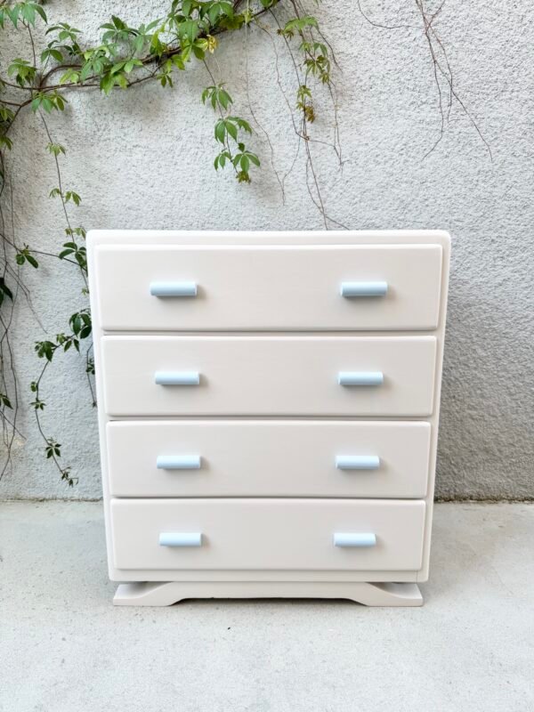 IMG_3969 COMMODE CHOUPETTE