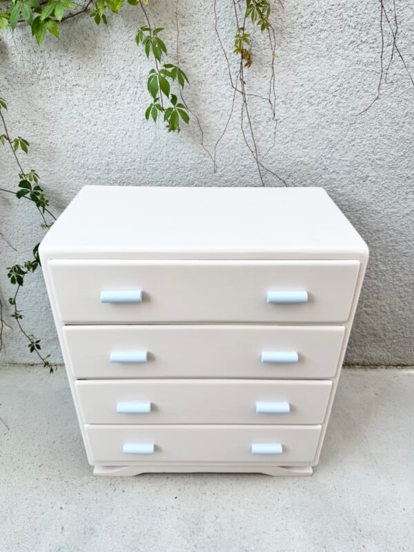 IMG_3970 COMMODE CHOUPETTE