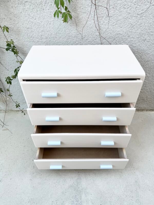 IMG_3975 COMMODE CHOUPETTE