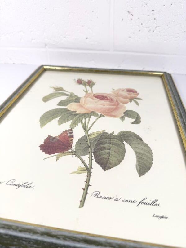 CADRE ROSES REDOUTÉ