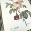 CADRE ROSES REDOUTÉ