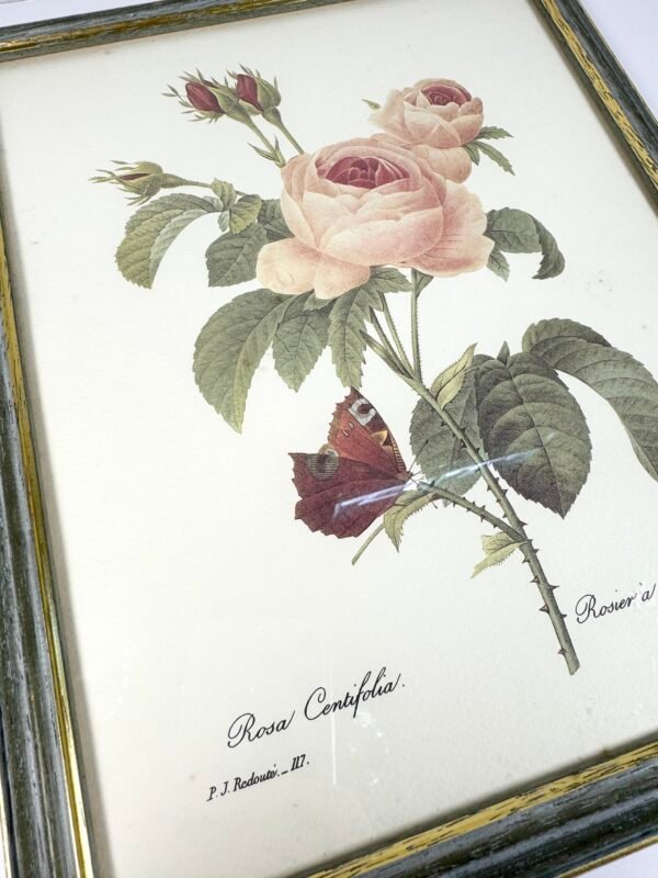 CADRE ROSES REDOUTÉ