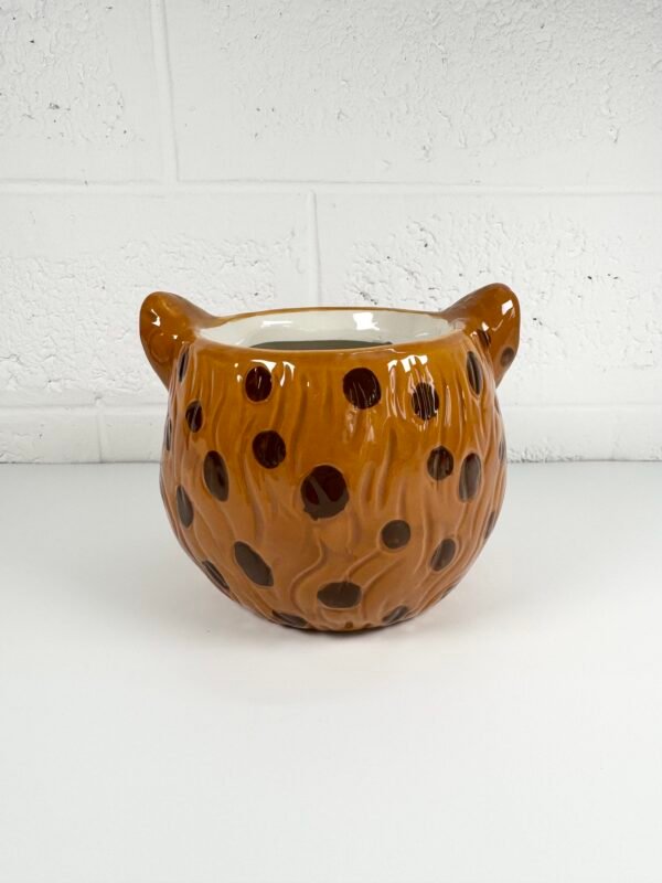 CACHE POT LÉO