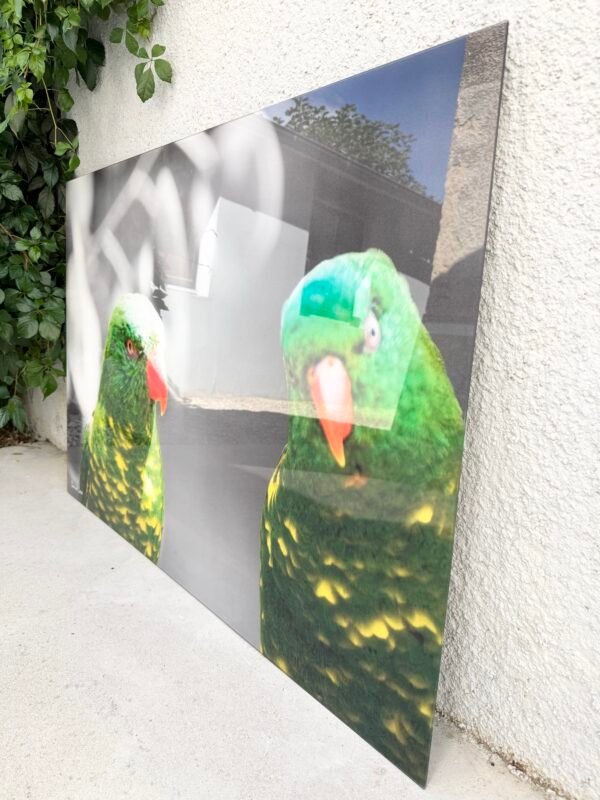 GRAND TABLEAU PLEXI OISEAUX