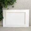 GRAND TABLEAU PLEXI OISEAUX