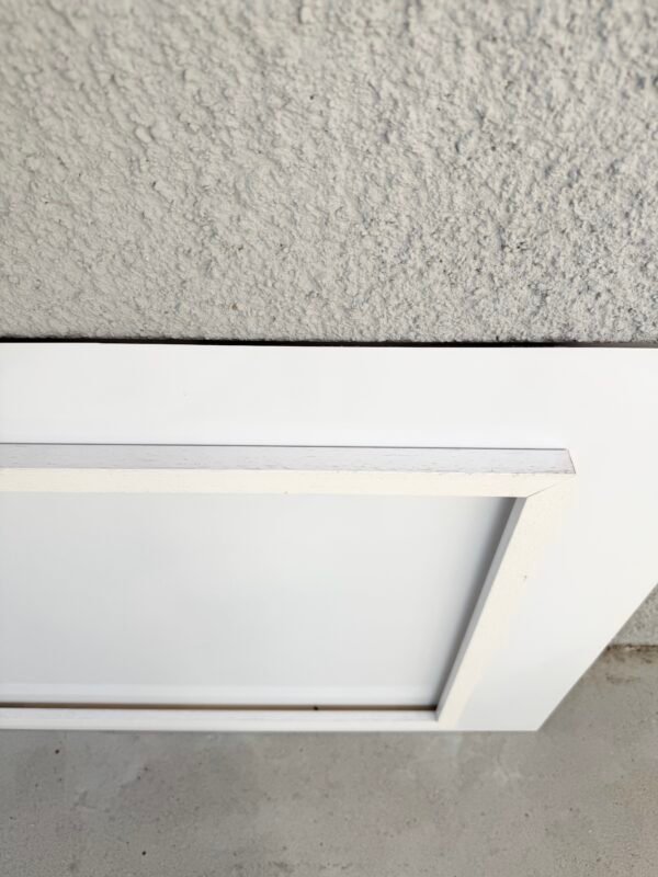 GRAND TABLEAU PLEXI OISEAUX